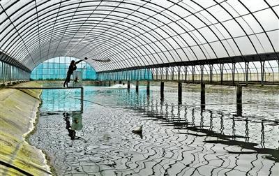 綠色農(nóng)業(yè),迎來發(fā)展新契機(jī)